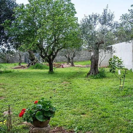 Monolocale Emy - Salento Reservation